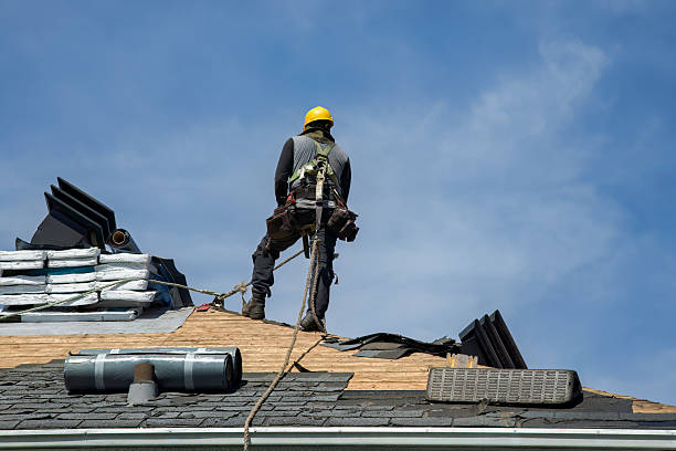 Professional Roof Replacement technician working in Lexington, MI